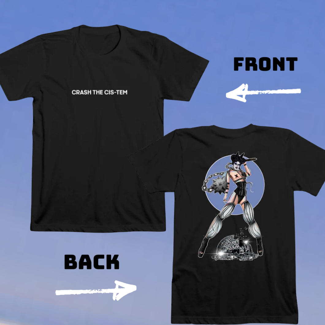 Crash The Cis-tem T (2 LEFT)