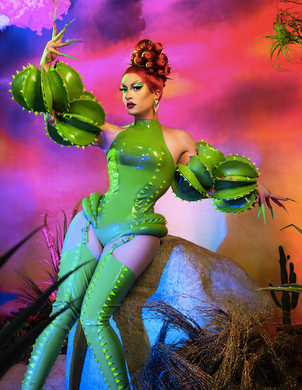 Finale Cactus Signed Print
